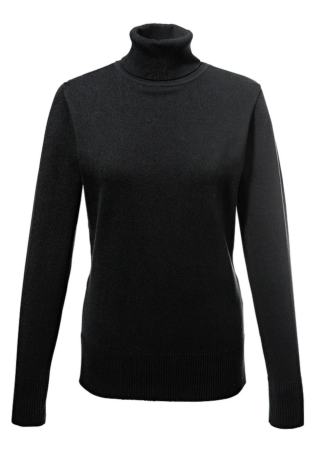 Pull col roulé en fine maille