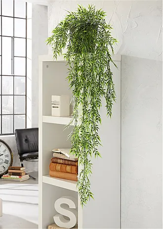 Bambou décoratif • vert • Boutique bonprix