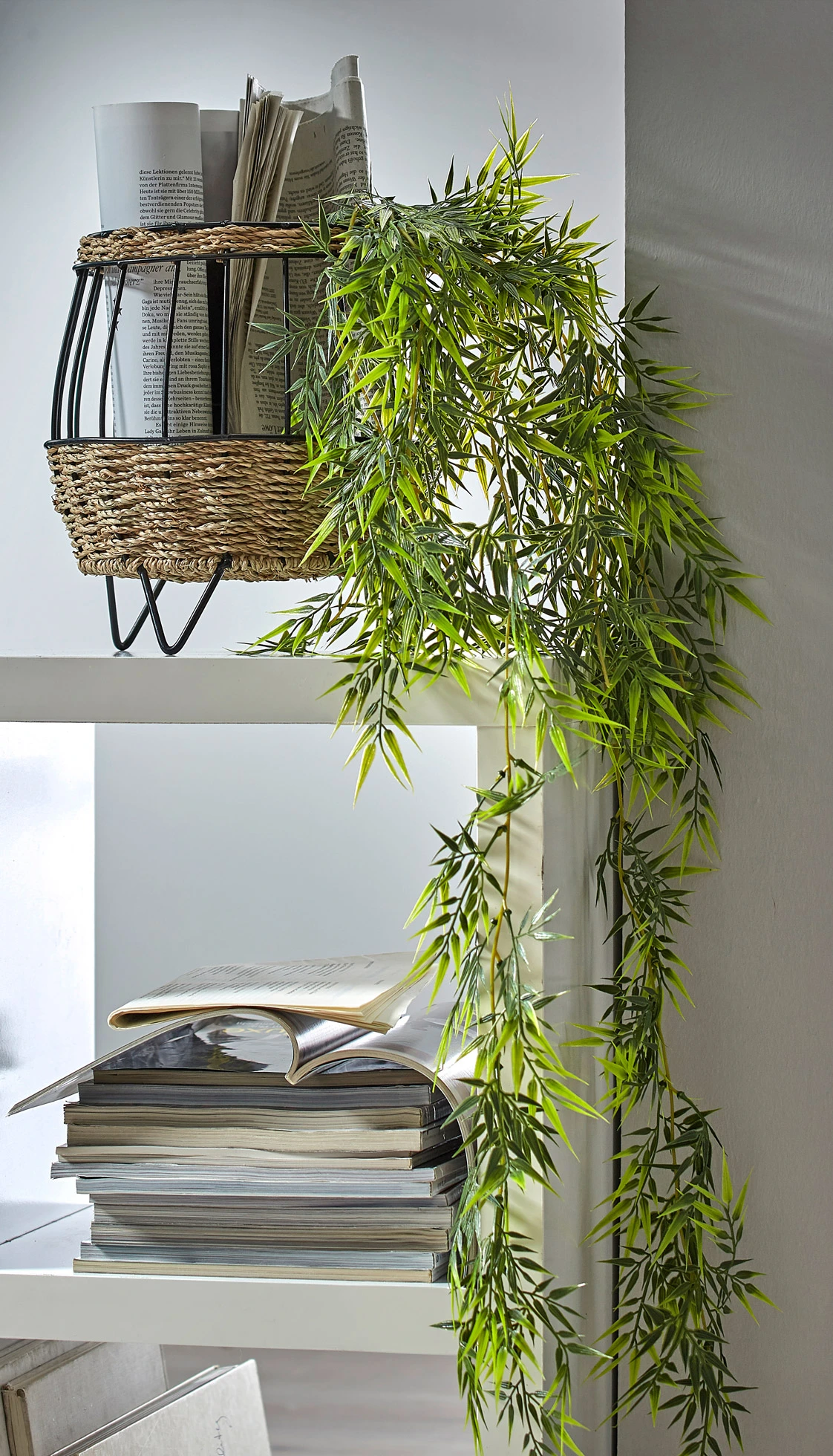 Bambou décoratif • vert • Boutique bonprix