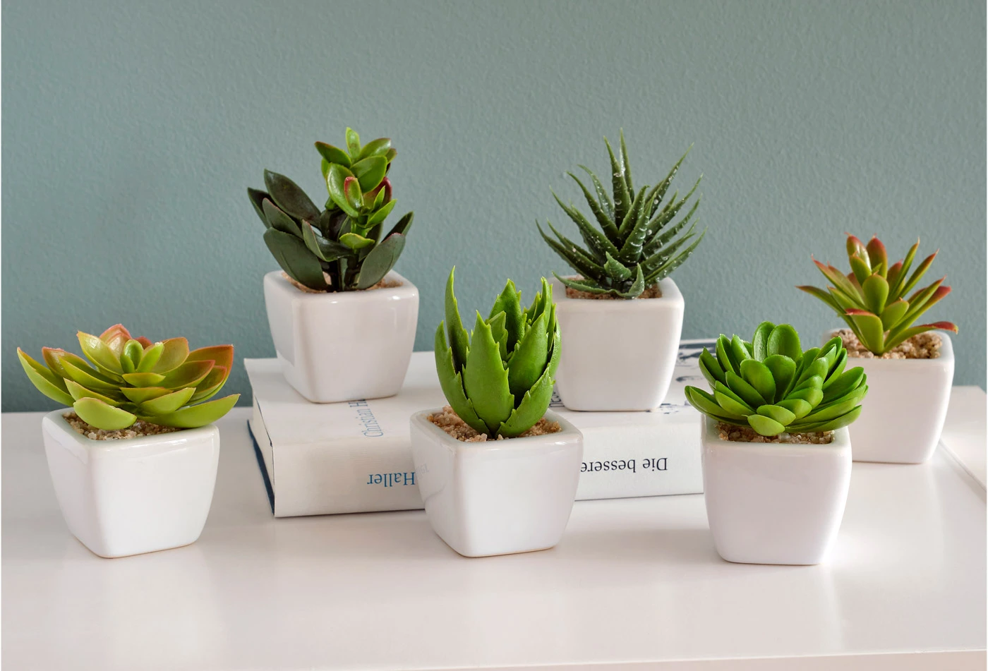 Kunstplanten (6-dlg. set) • groen • bonprix online shop