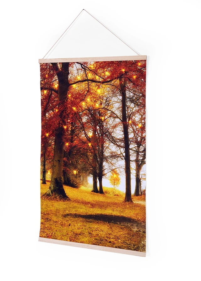 Tableau sur toile tissée LED à suspendre, Couleur: orange