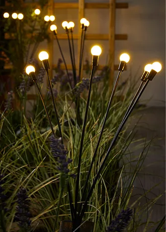 Piquet de jardin solaire, Couleur: noir