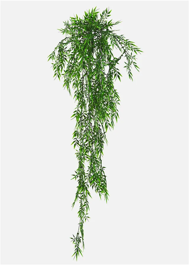 Bambus decorativ