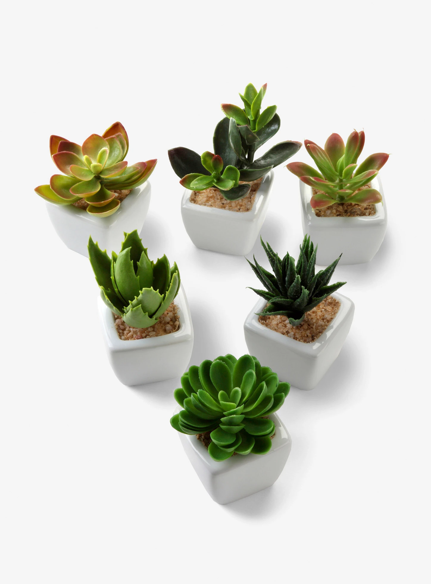 Mini-succulentes artificielles (Ens. 6 pces.) • vert • Boutique bonprix
