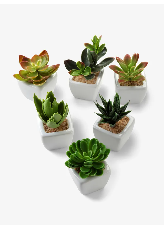 Kunstplanten (6-dlg. set), Kleur: groen