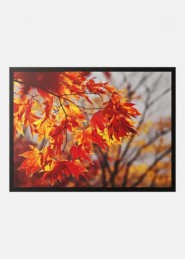 Preş de intrare cu motiv autumnal