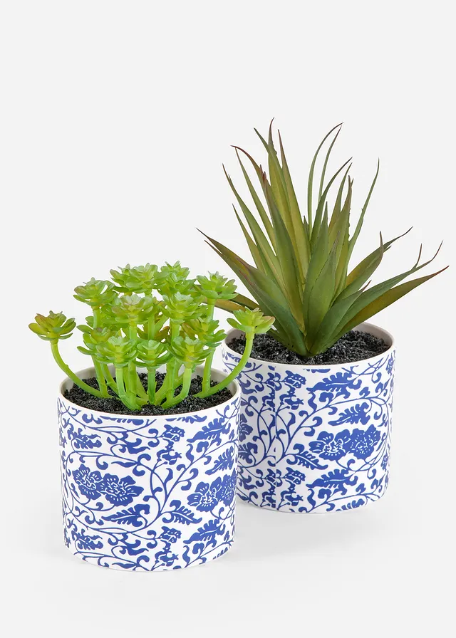 Plantă artificială suculentă în ghiveci (set/2 buc.)