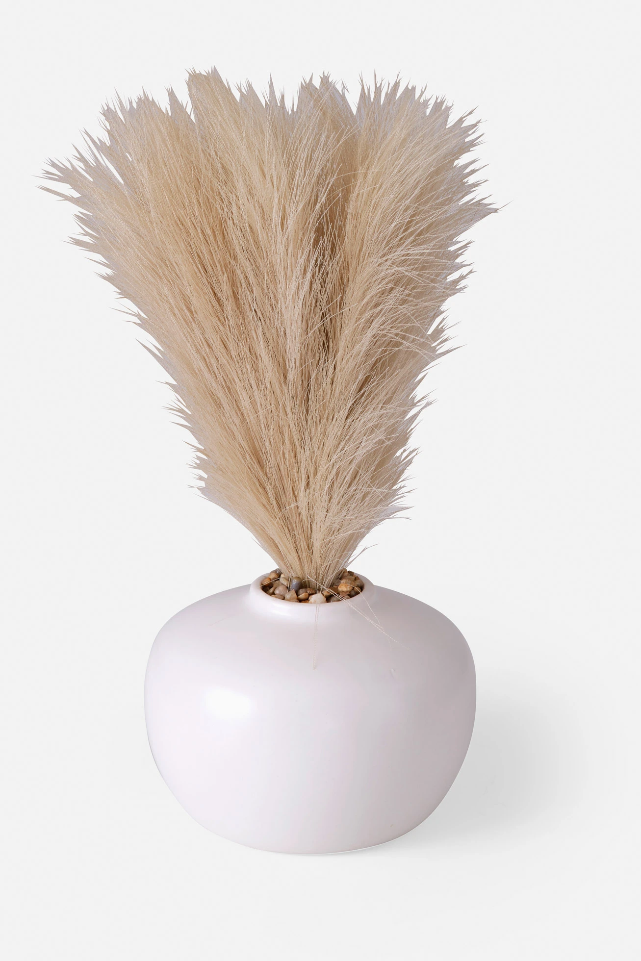 Kunstplant • naturel • bonprix online shop