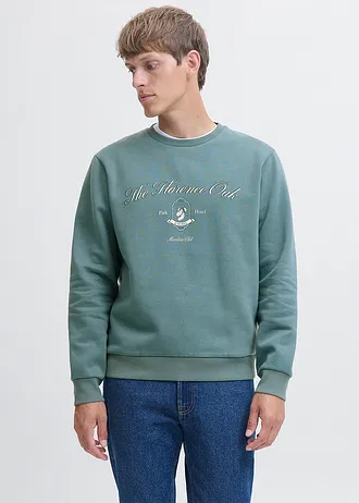 Sweater, Kleur: grijsgroen