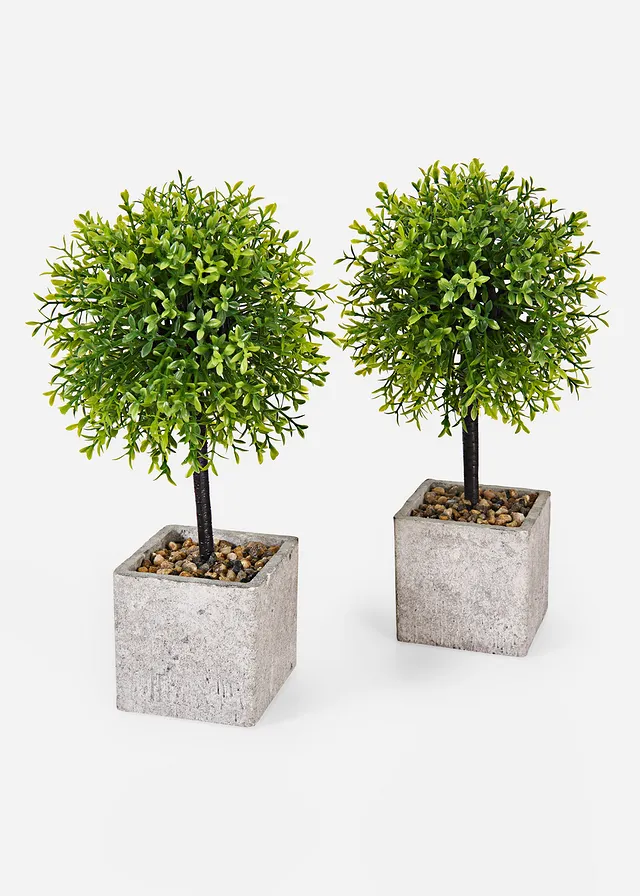 Lot de 2 plantes artificielles en pot • vert • Boutique bonprix