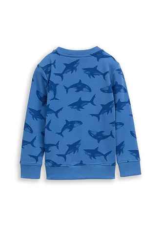 Sweater van Tom Tailor, Kleur: blauw met print