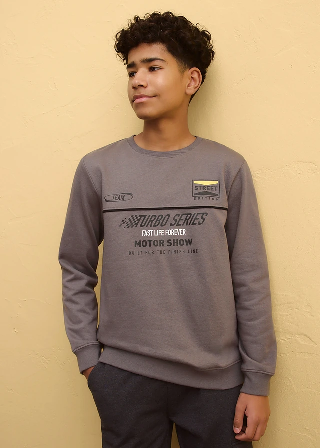 Sweater van een zachte katoenmix, Kleur: rookgrijs met print