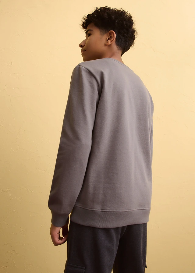 Sweat-shirt doux en coton mélangé, Couleur: gris fumé imprimé