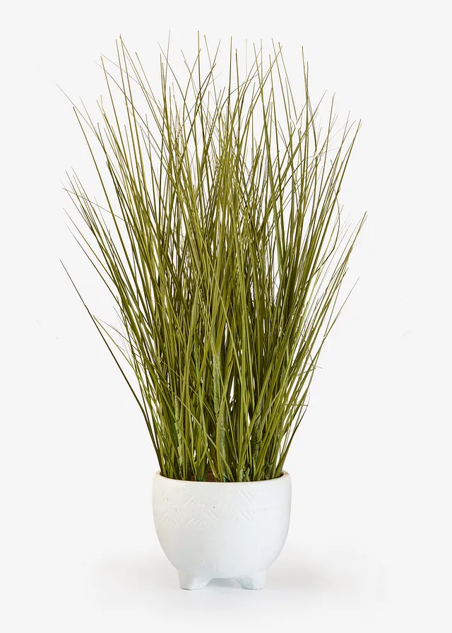 Plante artificielle en pot