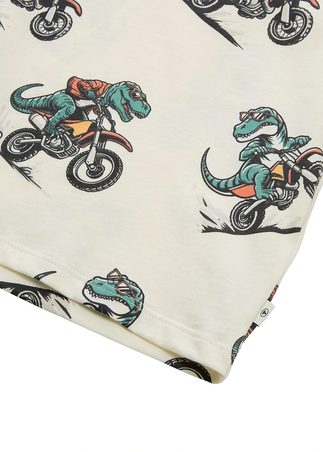 Tom Tailor T-shirt van puur biologisch katoen, Kleur: wolwit met print
