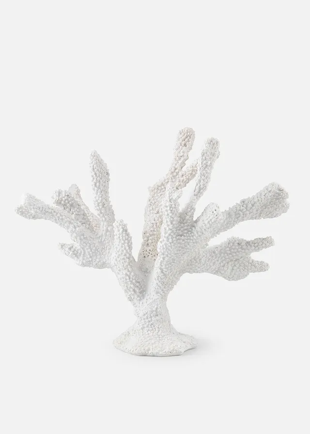 Ornament koraal