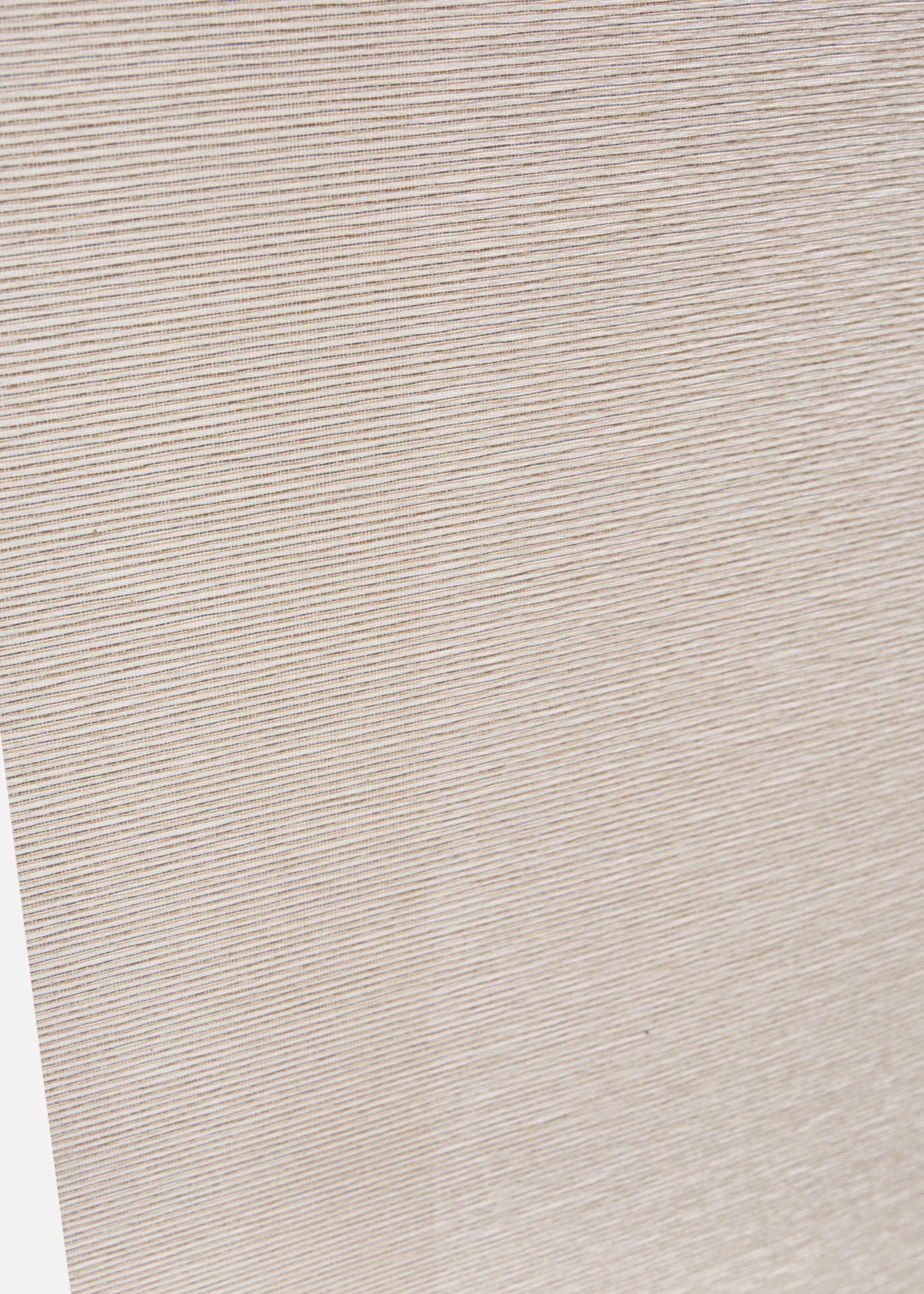 Paneelgordijn met structuur (1 stuk) • crème • bonprix online shop