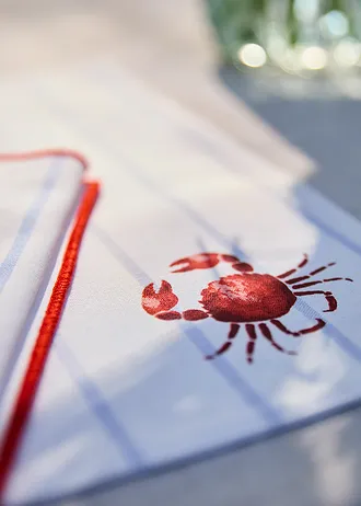 Placemats van biologisch katoen (set van 2) • poederblauw-grenadine-wit • bonprix online shop